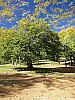 JGB20071109_0080.jpg