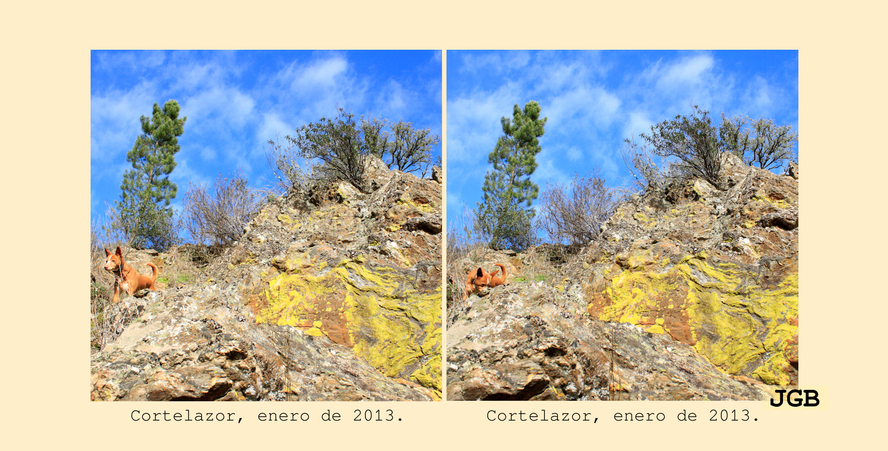 Cortelazor-3D - fotografía JGB20130108_0063d.JPG