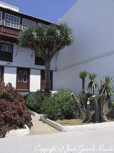 Santa Cruz de La Palma - fotografía JGB20060508-0032.jpg