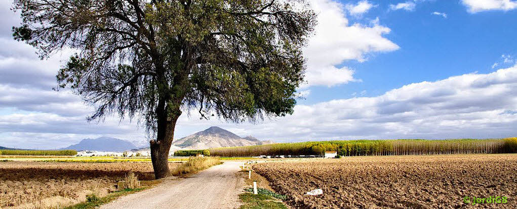 Una fotografía de las que hago cargada aleatoriamente, para darle algo de vida a la página. Lo más probable es que sea un paisaje natural o urbano, de conjunto o de detalle.