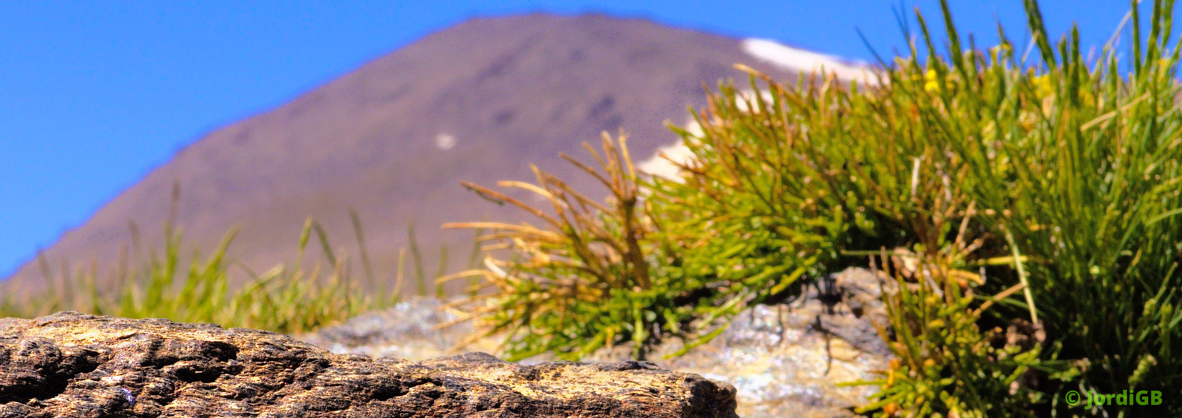 Una fotografía de las que hago cargada aleatoriamente, para darle algo de vida a la página. Lo más probable es que sea un paisaje natural o urbano, de conjunto o de detalle.