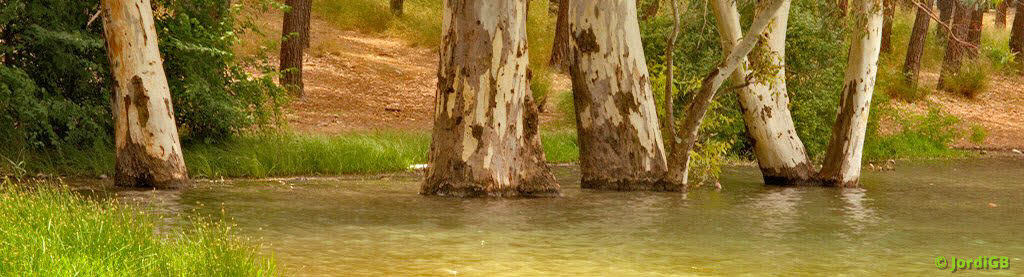 Una fotografía de las que hago cargada aleatoriamente, para darle algo de vida a la página. Lo más probable es que sea un paisaje natural o urbano, de conjunto o de detalle.