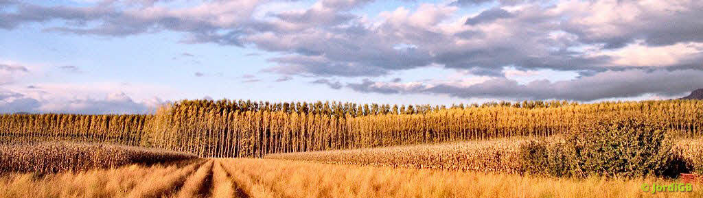 Una fotografía de las que hago cargada aleatoriamente, para darle algo de vida a la página. Lo más probable es que sea un paisaje natural o urbano, de conjunto o de detalle.