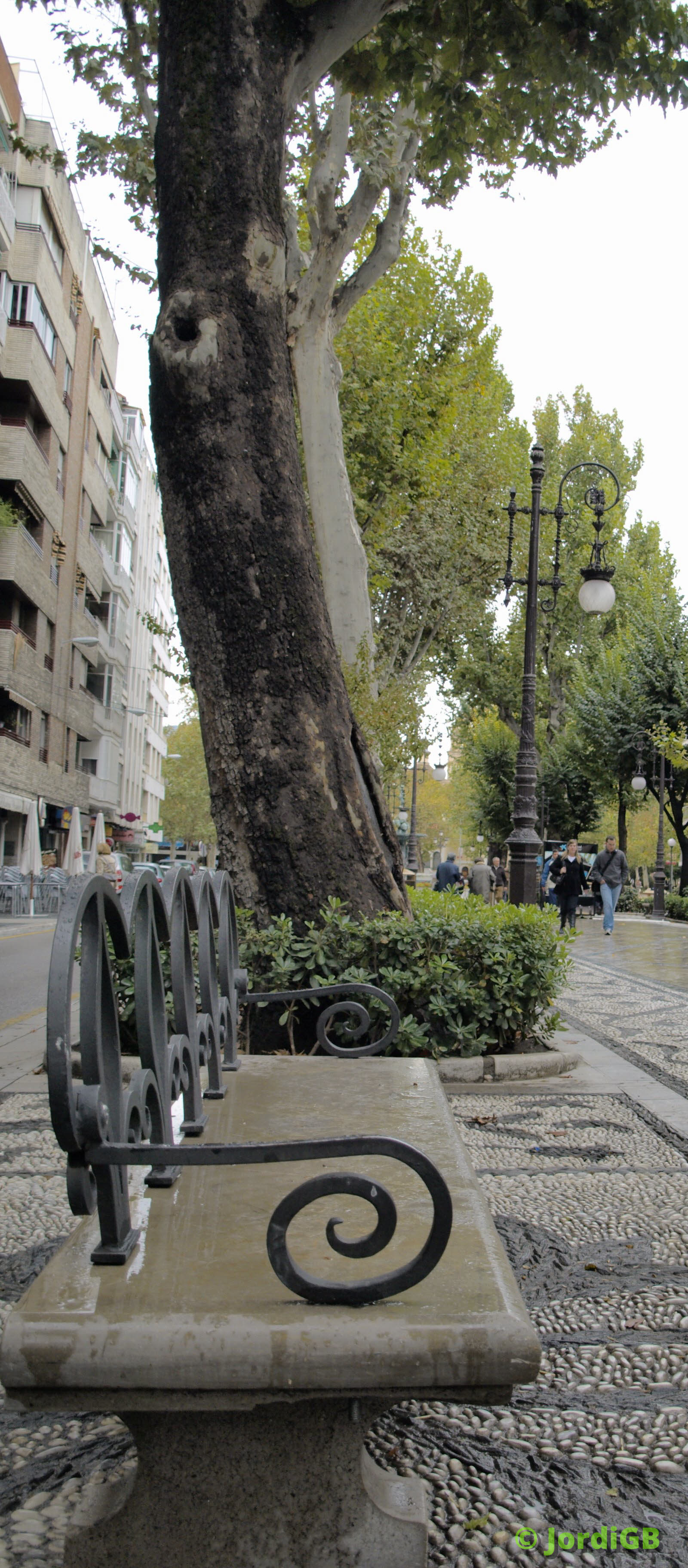 Una fotografía de las que hago cargada aleatoriamente, para darle algo de vida a la página. Lo más probable es que sea un paisaje natural o urbano, de conjunto o de detalle.