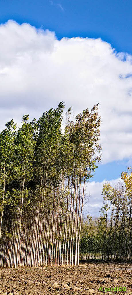 Una fotografía de las que hago cargada aleatoriamente, para darle algo de vida a la página. Lo más probable es que sea un paisaje natural o urbano, de conjunto o de detalle.